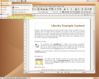 Screenshot Ubuntu